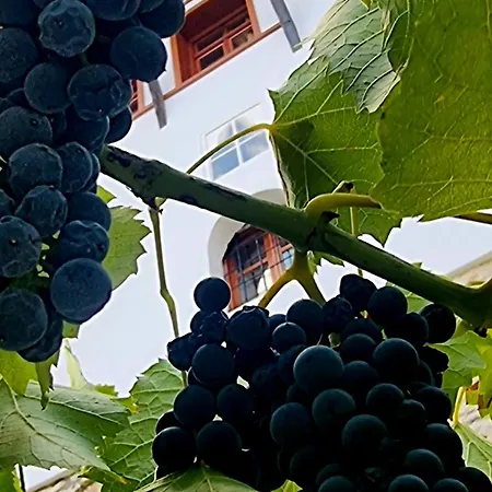 çelo's House Gjirokastër