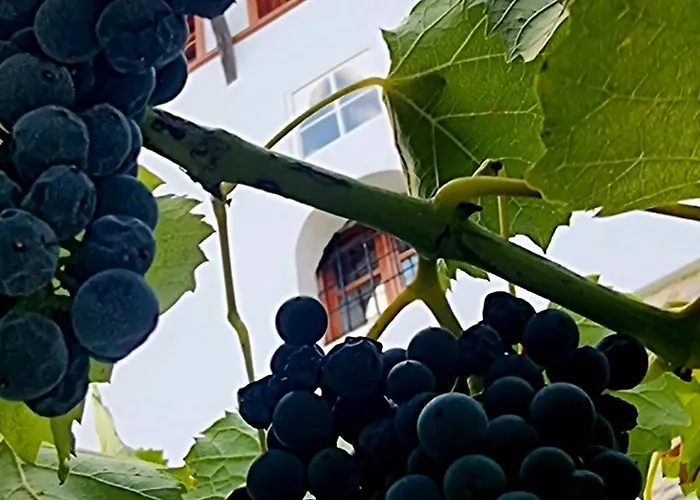 çelo's House Gjirokastër